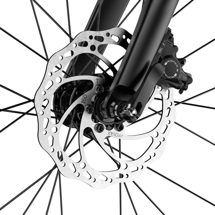 Rower woom EXPLORE e 6 graphite grey