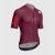 Koszulka Rowerowa ASSOS EQUIPE R S11 OGAT Phoenicians Porpora
