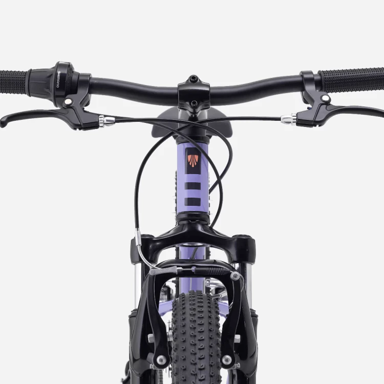 Rower Dziecięcy TREK Precaliber 24” z amortyzacją Lavender Haze