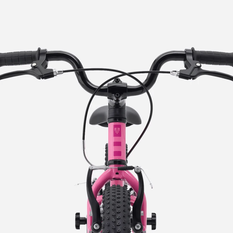 Precaliber16Freewheel-27-79630-B-Alt4.png