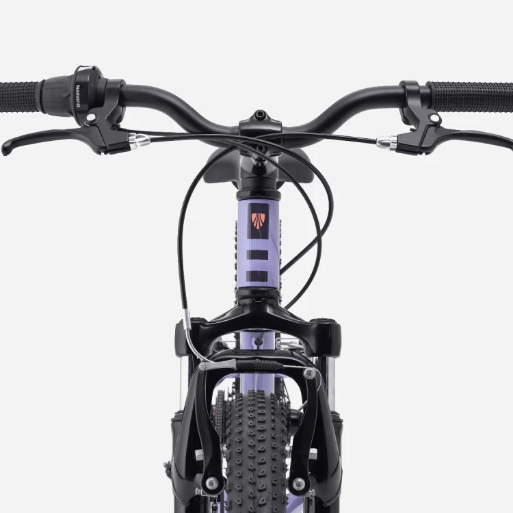Rower Dziecięcy TREK Precaliber 20” 7-rzędowy Lavender Haze