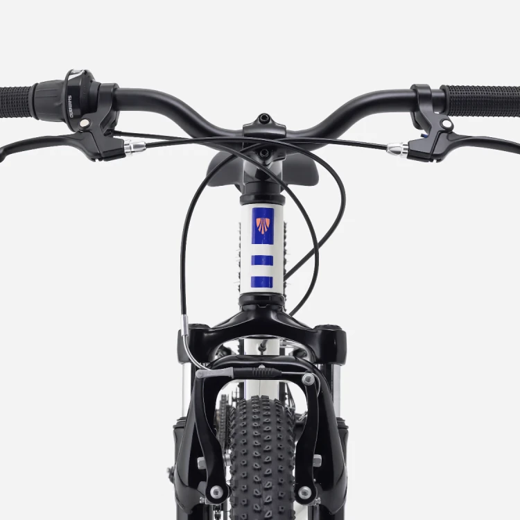 Rower Dziecięcy TREK Precaliber 20” 7-rzędowy Era White