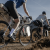 Torba na Widelec CYCLITE FORK BAG / 01 LEFT jasno szara