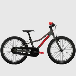 Rower Dziecięcy TREK Precaliber 20 FW Lithium Grey